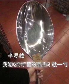 大勺子小勺子吃瓜,趣味吃瓜记  第1张