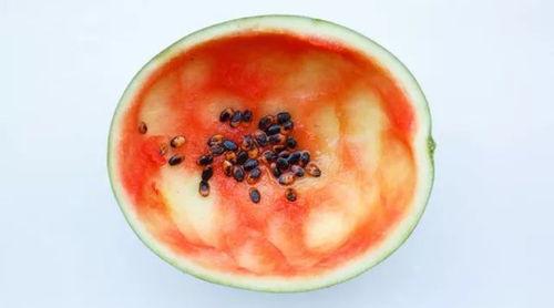 大勺子小勺子吃瓜,趣味吃瓜记  第3张