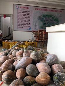 桂林银行吃瓜,吃瓜群众视角下的金融风云  第1张