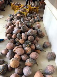 桂林银行吃瓜,吃瓜群众视角下的金融风云  第2张