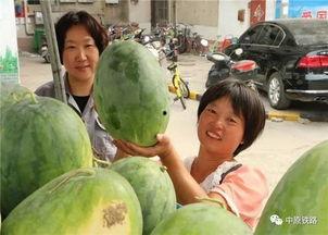 芬芳小区吃瓜,一场吃瓜盛宴背后的邻里温情  第1张