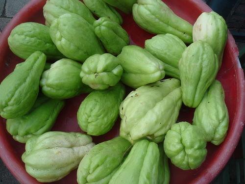 过年别找我吃瓜,聚焦家庭温馨时光 第2张 过年别找我吃瓜,聚焦家庭温馨时光 第2张