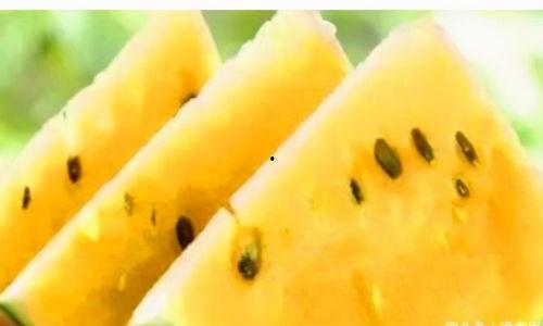 过年别找我吃瓜,聚焦家庭温馨时光 第3张 过年别找我吃瓜,聚焦家庭温馨时光 第3张