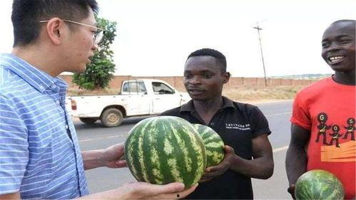 黑人被警察吃瓜  第2张