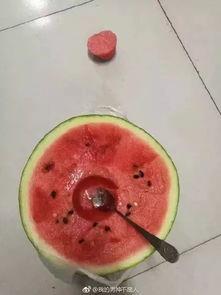 宿舍最新吃瓜,揭秘最新吃瓜事件背后的真相 第2张 宿舍最新吃瓜,揭秘最新吃瓜事件背后的真相 第2张