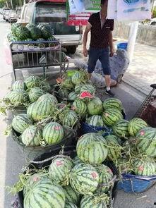 辉县网红吃瓜事件,一场网络狂欢背后的真相与反思  第1张