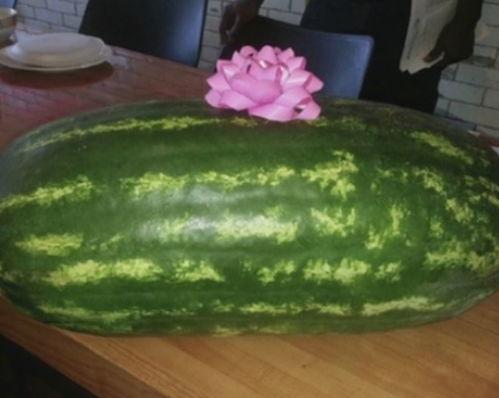 整人吃瓜故事,一场整人吃瓜的欢乐盛宴  第2张