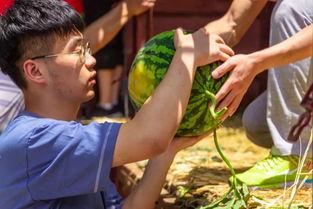 大学学姐吃瓜,揭秘大学校园那些鲜为人知的秘密  第1张