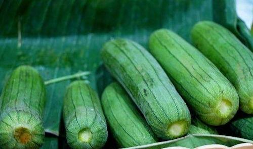 立秋以后吃啥瓜,探寻秋季养生瓜类美食  第2张