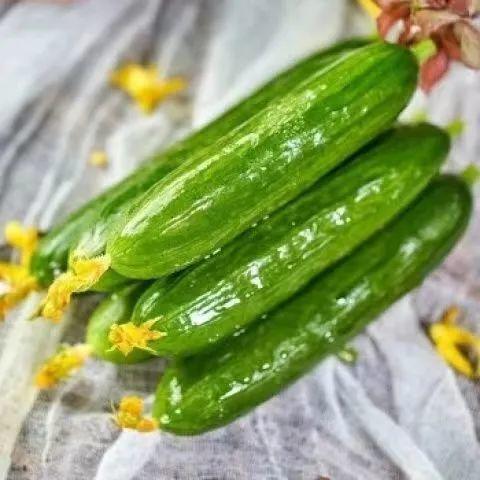 任县吃瓜什么梗,揭秘网络热梗背后的故事与影响  第3张