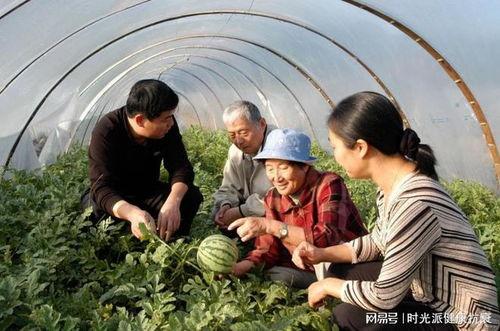 种花家吃瓜自由,畅享吃瓜自由，品味生活百态  第2张