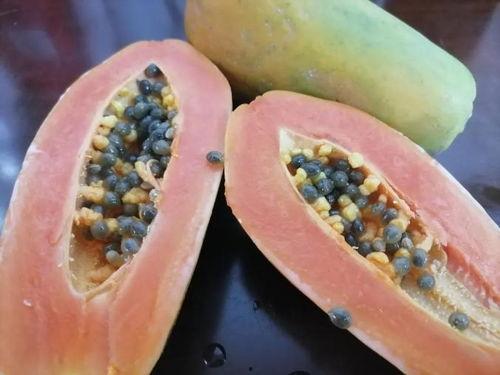 吃瓜网今日吃瓜线路,揭秘娱乐圈最新热点事件 第2张 吃瓜网今日吃瓜线路,揭秘娱乐圈最新热点事件 第2张