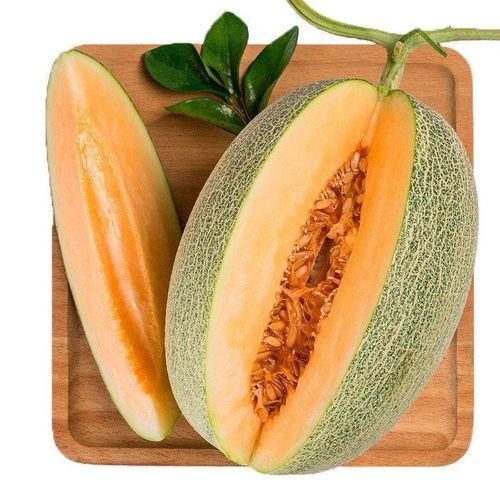 抖音吃瓜小能手哈密瓜,揭秘娱乐圈那些事儿 第2张 抖音吃瓜小能手哈密瓜,揭秘娱乐圈那些事儿 第2张