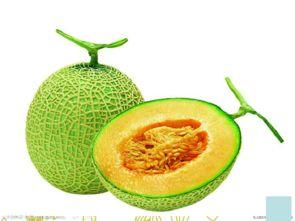 抖音吃瓜小能手哈密瓜,揭秘娱乐圈那些事儿 第3张 抖音吃瓜小能手哈密瓜,揭秘娱乐圈那些事儿 第3张