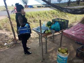 老乡吃的瓜,揭秘老乡们的独特瓜果美食之旅 第2张 老乡吃的瓜,揭秘老乡们的独特瓜果美食之旅 第2张