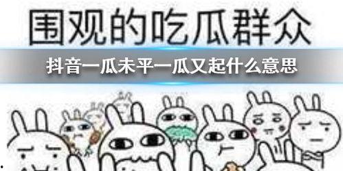 抖音吃瓜火机,揭秘网络热点的幕后故事 第3张 抖音吃瓜火机,揭秘网络热点的幕后故事 第3张