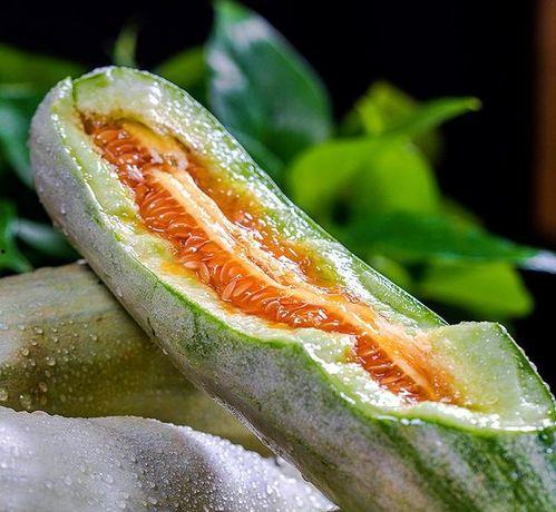 吃脆瓜主播吃美食直播,脆瓜主播畅享美食直播盛宴 第1张 吃脆瓜主播吃美食直播,脆瓜主播畅享美食直播盛宴 第1张