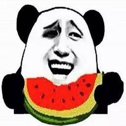吃瓜呀  第2张