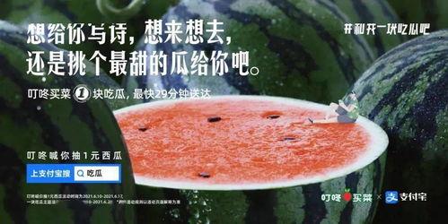 十八楼吃瓜文案,揭秘娱乐圈背后的秘密与八卦  第1张