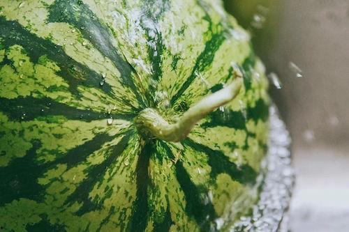 人吃瓜图  第3张