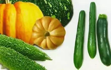 合家齐吃瓜后续,一场欢乐的夏日家庭盛宴 第2张 合家齐吃瓜后续,一场欢乐的夏日家庭盛宴 第2张