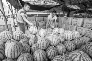 最新吃瓜事件成都,揭秘网络热议背后的真相  第2张