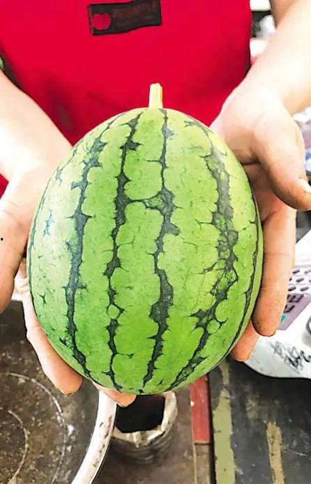 最新吃瓜事件成都,揭秘网络热议背后的真相  第3张