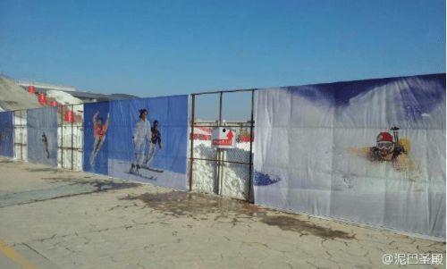 打工人吃瓜图片,揭秘职场生活的小确幸  第2张