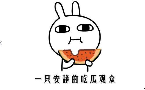 吃瓜说法 第1张 吃瓜说法 第1张