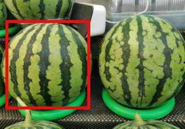 吃瓜网络热门,热门事件背后的真相与笑料 第2张 吃瓜网络热门,热门事件背后的真相与笑料 第2张