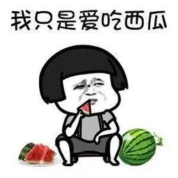 你在吃瓜吗  第2张