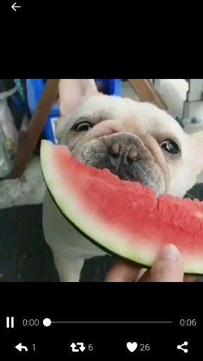 吃瓜群众聊天茶馆  第2张