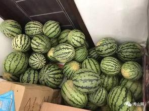 吃瓜群0411,一场网络热议背后的故事  第2张