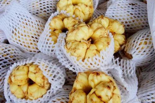 南环吃瓜,揭秘热门话题背后的真相与笑料  第3张