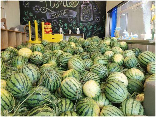 photic今日吃瓜,跟随photic一起品味娱乐圈新鲜事 第2张 photic今日吃瓜,跟随photic一起品味娱乐圈新鲜事 第2张