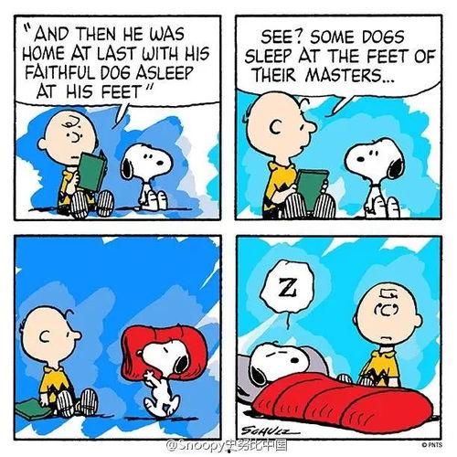 吃瓜的史努比,趣味横生的夏日时光 第1张 吃瓜的史努比,趣味横生的夏日时光 第1张