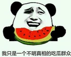 吃瓜群众瓜沙露脸,揭秘吃瓜群众的神秘面纱  第2张