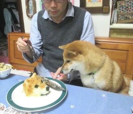 鹿羽吃瓜狗头,揭秘娱乐圈的欢乐瞬间  第3张