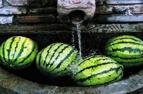 瓜开头的吃的,探寻瓜类美食的无限魅力  第3张