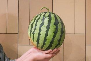 全网吃瓜最全,揭秘娱乐圈幕后真相与热点事件大盘点 第3张 全网吃瓜最全,揭秘娱乐圈幕后真相与热点事件大盘点 第3张