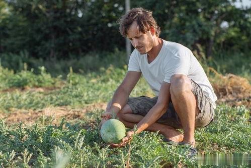 外国老外吃瓜,一场跨越国界的趣味观察 第2张 外国老外吃瓜,一场跨越国界的趣味观察 第2张
