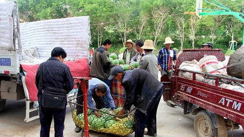 靖州吃瓜群众  第1张