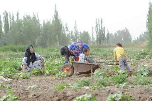 靖州吃瓜群众  第3张
