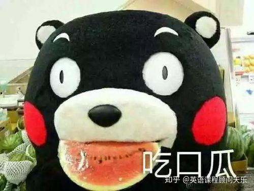 怎样形容吃瓜群众 第2张 怎样形容吃瓜群众 第2张