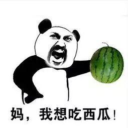 你可不可以吃瓜,你可知哪些明星的瓜是真是假？  第3张