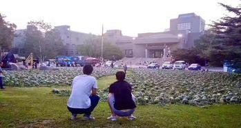 黄山学院吃瓜事件  第1张