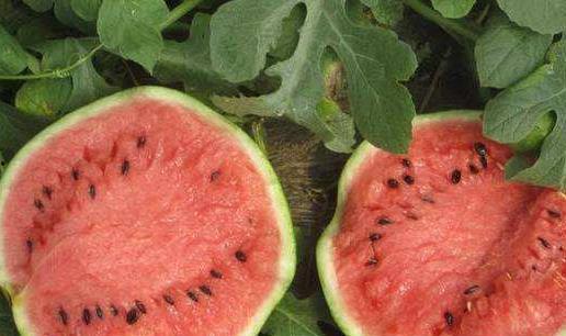 女感染吃瓜 第3张 女感染吃瓜 第3张