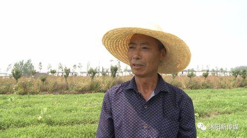 沭阳中专吃瓜,校园生活的一抹趣味色彩  第1张