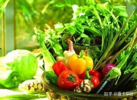 山东郓城菜棚吃瓜,瓜果飘香，共享田园生活  第1张