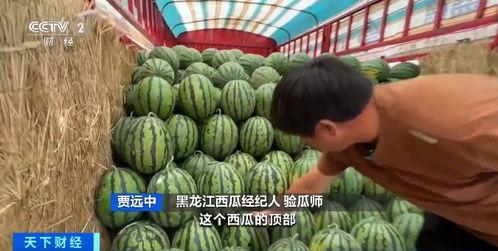 QQ吃瓜钱,揭秘社交平台的新潮流 第3张 QQ吃瓜钱,揭秘社交平台的新潮流 第3张